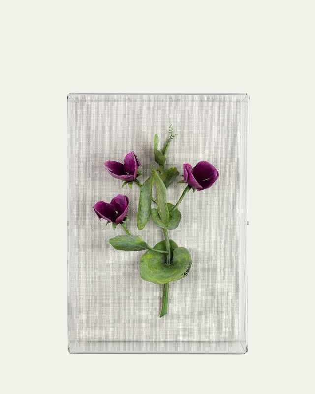 Sweet Pea April Birth Flower Wall Art